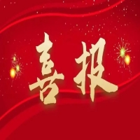 祝賀我公司在“2024年度徐州市工程造價技能競賽”中取得優異成績